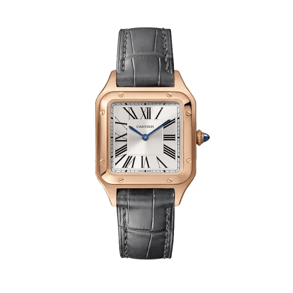 Cartier Santos Dumont Silver Leather 27.5mm