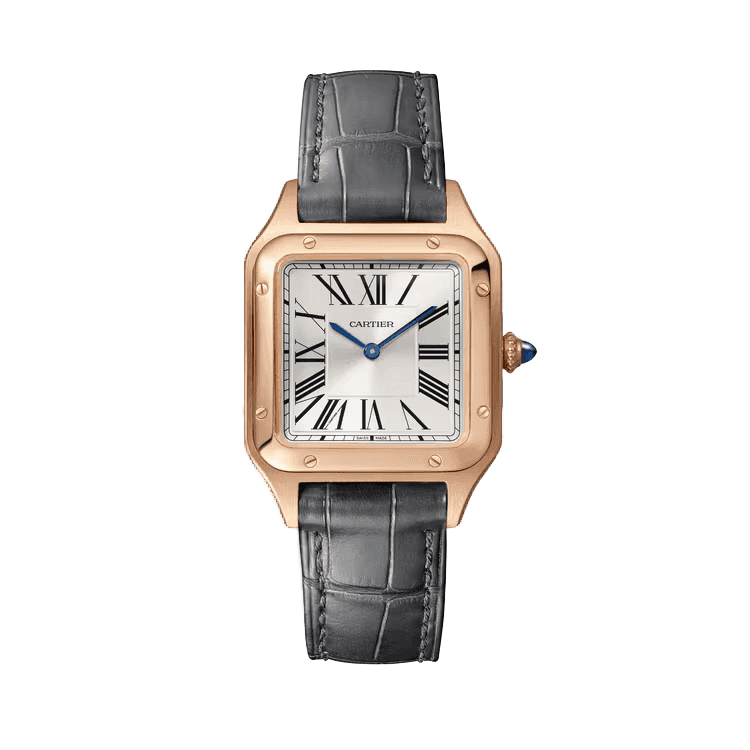 Cartier Santos Dumont Silver Leather 27.5mm - Image 1