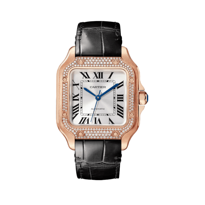Cartier Santos De Cartier Silver Leather 8.83mm - Image 1
