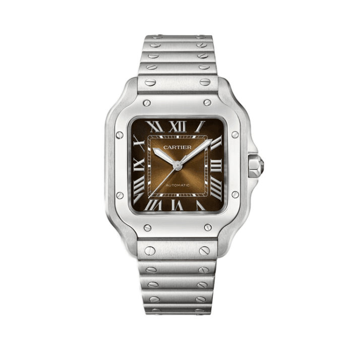 Cartier Santos De Cartier Chocolate Steel 35.1mm - Image 1