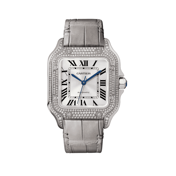Cartier Santos De Cartier Silver Leather 35.1mm