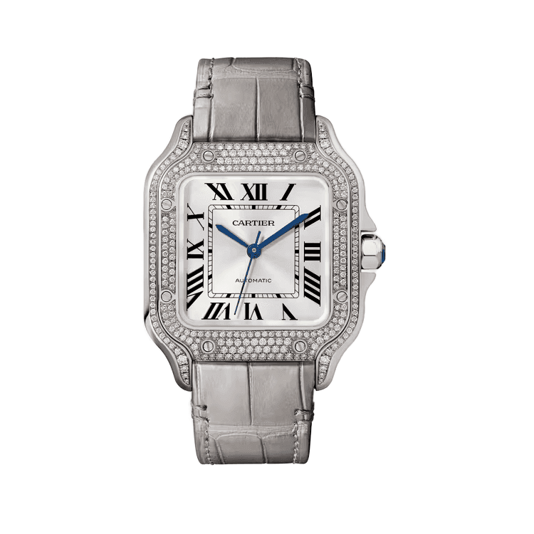 Cartier Santos De Cartier Silver Leather 35.1mm - Image 1
