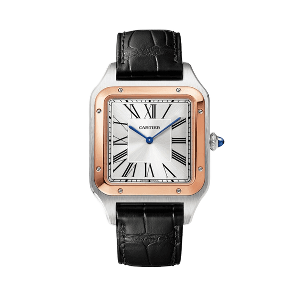 Cartier Santos Dumont Silver Leather 33.9mm