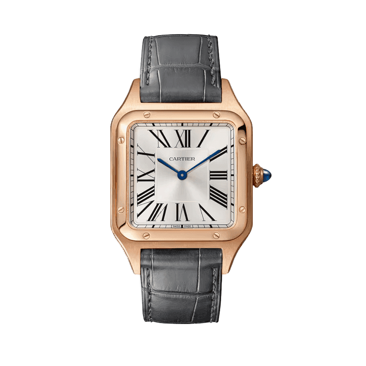 Cartier Santos Dumont Silver Leather 31.4mm - Image 1