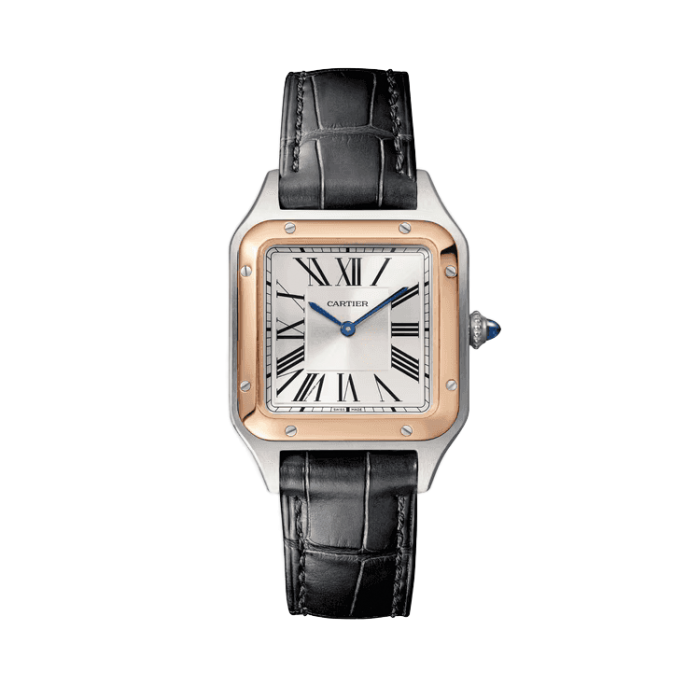 Cartier Santos Dumont Silver Leather 27.5mm - Image 1