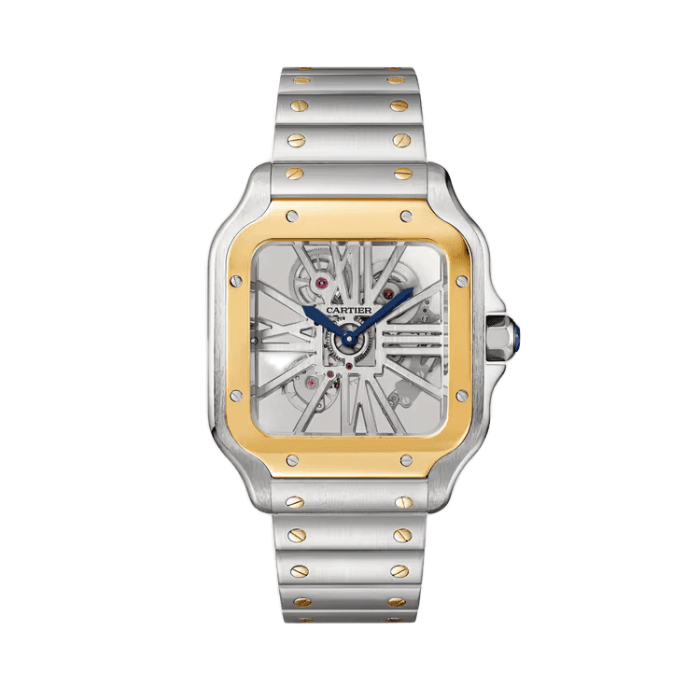 Cartier Santos Skeleton Skeleton Steel 39.8mm - Image 1